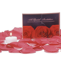 A Bed of Roses: Arrange these rose petals in your lover's room and give your special someone a vibrating sex toy.  