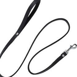 Leather Leash