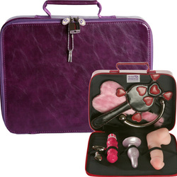 Toybox: Sex toy storage case for vibrators and dildos