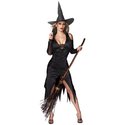 Wicked Witch: Witch Costume for Halloween