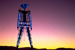 Burning Man 2007